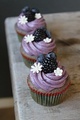 Purple Cupcakes - cupcakes photo