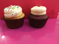 Sweet Cupcakes - cupcakes photo