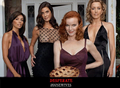 Desperate Housewives - desperate-housewives photo