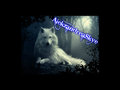 DisPic ImmNig - wolves fan art