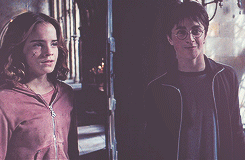 Harry Potter & Hermione Granger ϟ