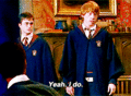 Harry Potter gifs - harry-potter fan art