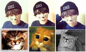 I see no difference - Taemin 