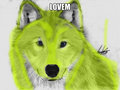 Lovem - wolves fan art