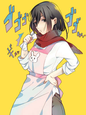  Chef Mikasa