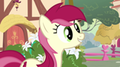 Rose Luck Image - my-little-pony-friendship-is-magic photo