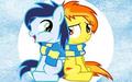 Soarin and Spit Fire - my-little-pony-friendship-is-magic photo