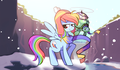 Rainbow Dash and Tank - my-little-pony-friendship-is-magic photo