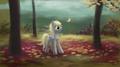 Derpy Hooves at Autumn  - my-little-pony-friendship-is-magic photo
