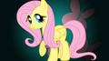 Fluttershy with Hoof Out - my-little-pony-friendship-is-magic photo