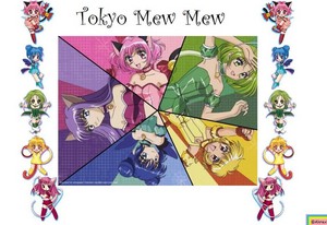 Tokyo Mew Mew Wallpaper