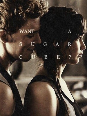  Finnick and Katniss ♢