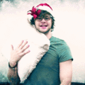 Christmas Jay - the-wanted photo