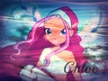 For doomkittycd - the-winx-club photo