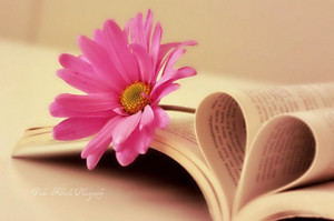  hoa On Book♥