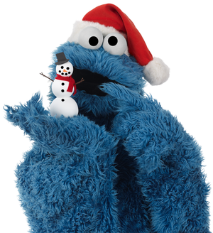  Happy Cookie Christmas!!!