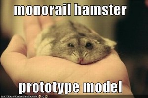  میں hamster, ہمزٹر تصویر
