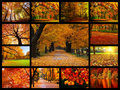 Autumn Love - autumn fan art