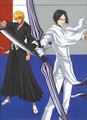 Ichigo and Ishida - bleach-anime photo