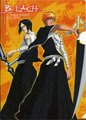 Ishida and Ichigo - bleach-anime photo