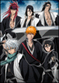 Renji, Byakuya, Kenpachi, Toshiro, Ichigo and Rukia - bleach-anime photo
