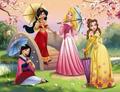 Disney princesses in China ღ - disney-princess photo