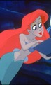 Ariel's scouting look - disney-princess photo