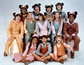 Updated Version Of "The Mickey Mouse Club" From The Mid-70's - disney photo