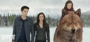  Edward,Bella,Renesmee and Jacob