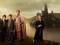 harry-potter - Harry Potter wallpapers wallpaper