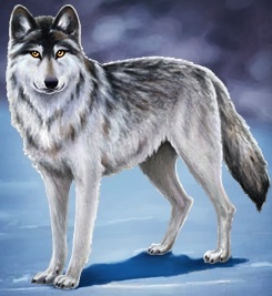 Brian's wolf form