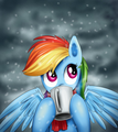 Rainbow Dash on a Winter Day - my-little-pony-friendship-is-magic photo