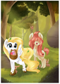 Walking Through the Forest - my-little-pony-friendship-is-magic photo