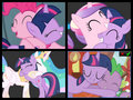 Pony Friends Forever - my-little-pony-friendship-is-magic photo