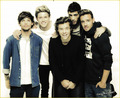 one direction 2014 - one-direction photo