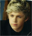 Niall Horan - one-direction photo