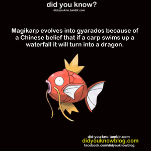 Did You Know?         