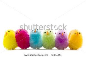  Bright fluffy toy Easter chicks.