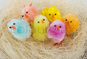  Fluffy toy Easter chicks in nest.