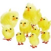  Fluffy toy Easter chicks with parents.