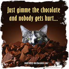 Kitteh Wants Chocolate :)