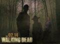 The Walking Dead FEBRUARY 2014 Poster (Carol) - the-walking-dead photo