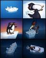 Ever think about the penguins? - titanic fan art