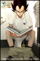 Vegeta's Normal Life: Morning Poop - anime photo