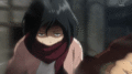 Mikasa en tu casa - anime photo