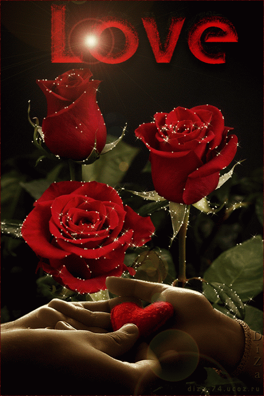 Red Roses Love Beautiful Pictures Fan Art 36544704 Fanpop