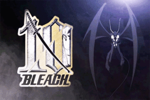  Bleach (Anime)