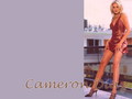 cameron-diaz -  Cameron Diaz  wallpaper