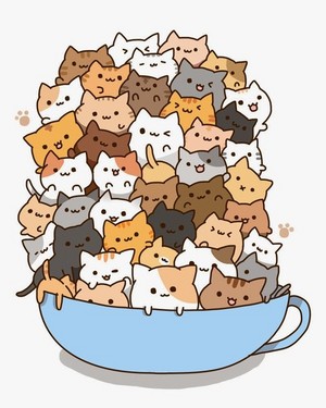  Cup of Kucing