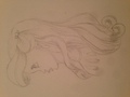 I drew Ariel  - disney-princess fan art